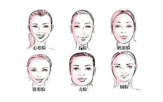 脸脸资料,揭秘社交新宠的崛起之路