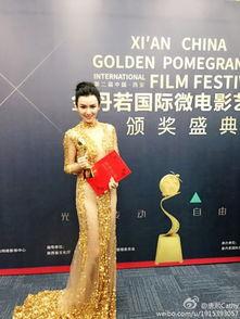 唐熙个人资料图片,光影交织，演绎璀璨人生