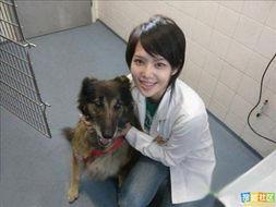 女兽医图片,女兽医的温馨守护瞬间