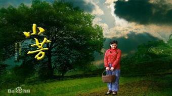 小芳背景创作,从农村女孩到城市精英的蜕变之路