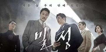 娱乐密探009电影,揭秘影坛风云，探秘幕后真相