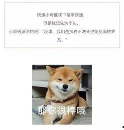 物流搞笑的段子,那些让人捧腹的段子集锦