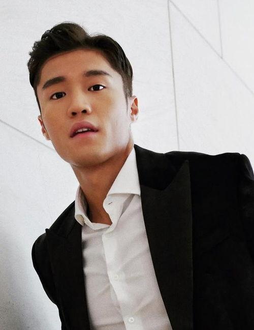 香港湛演员,湛演员的璀璨星途