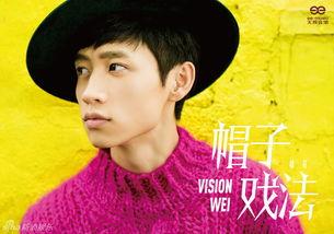 魏晨娱乐,音乐梦想的舞台，青春活力的展现